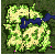 ro_map_gef_fild10