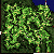 ro_map_pay_fild01