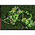 ro_map_pay_fild03