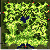 ro_map_prt_fild01