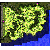 ro_map_prt_fild06
