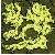 ro_map_prt_fild07