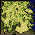 ro_map_prt_fild08